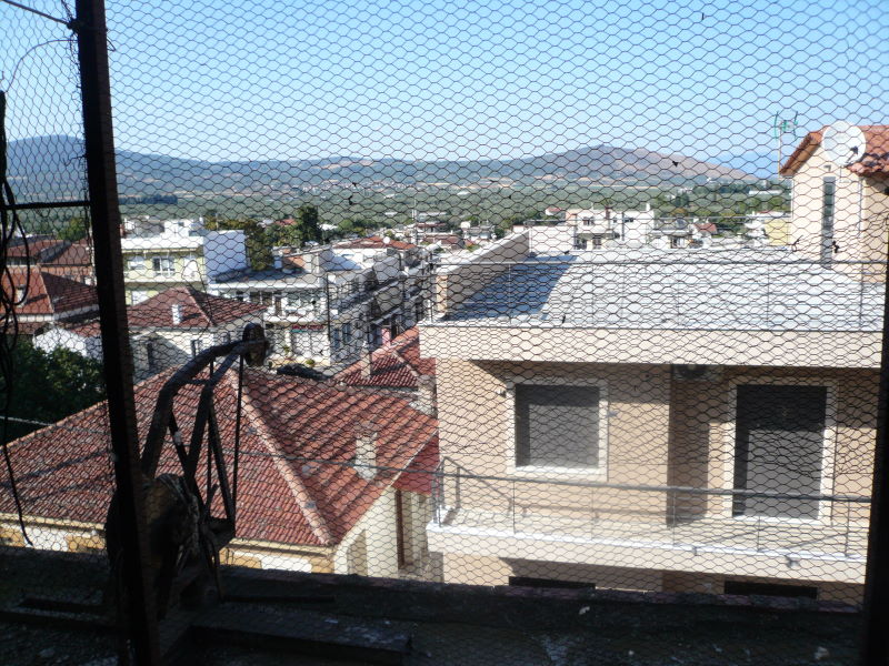 P1030046