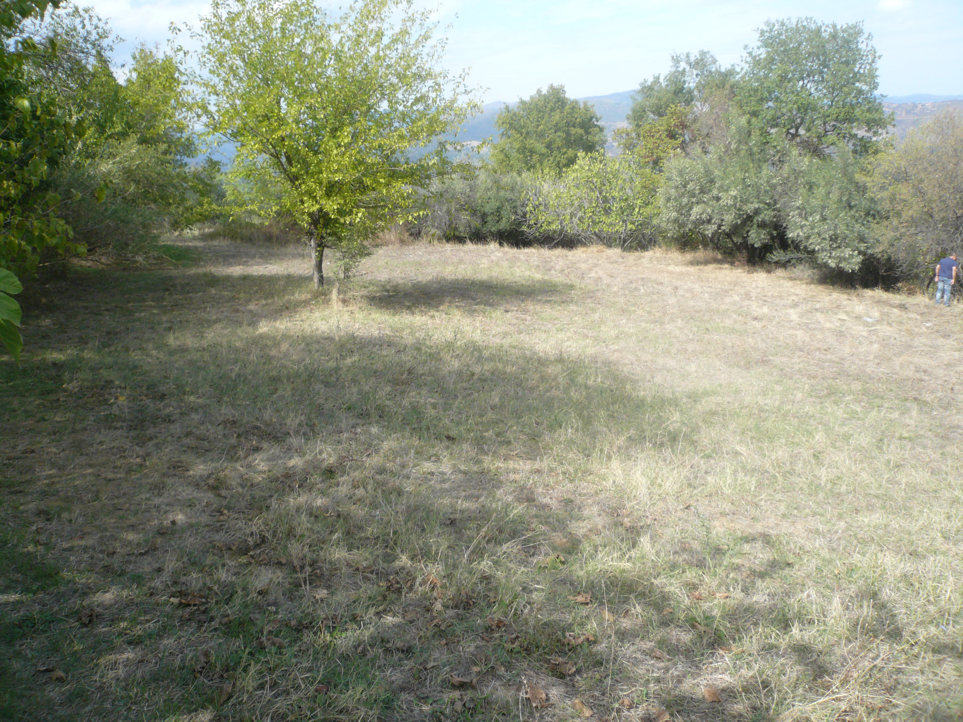 Οικόπεδο, 15000τ.μ. ΦΤΕΡΗ ΦΘΙΩΤΙΔΑΣ 150000 ΕΥΡΩ!!!/ ΜΗ ΔΙΑΘΕΣΙΜΟ 