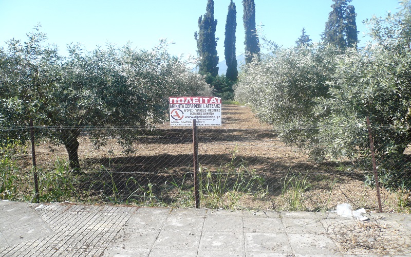ΟΙΚΟΠΕΔΟ 1773 τ.μ. ΛΑΜΙΑ,ΦΘΙΩΤΙΔΑ