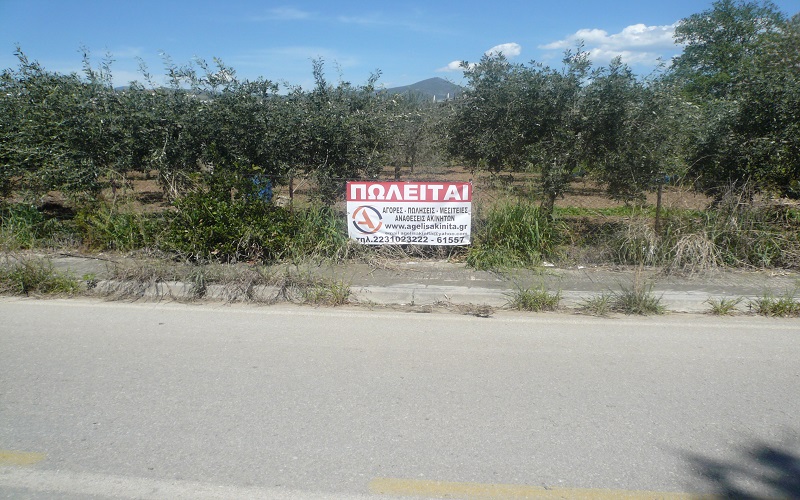 ΟΙΚΟΠΕΔΟ 1252 τ.μ. ΛΑΜΙΑ,ΦΘΙΩΤΙΔΑ