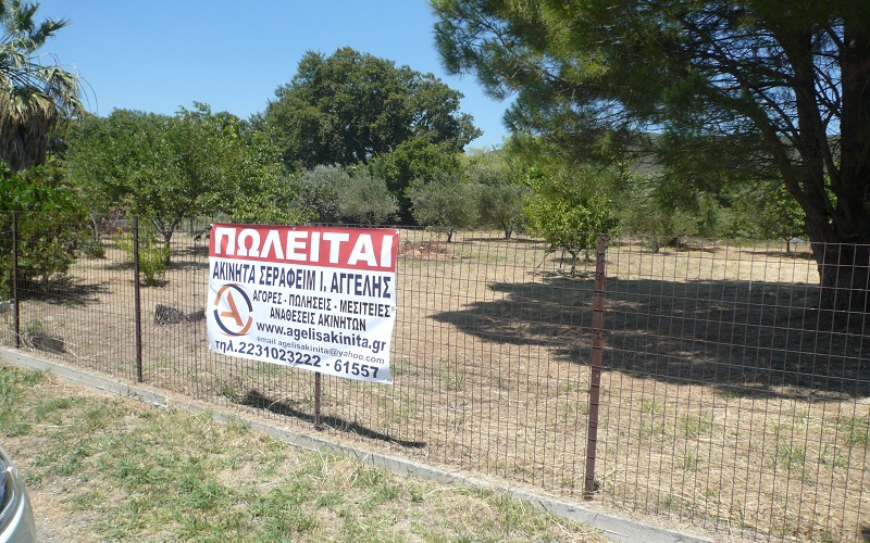 ΟΙΚΟΠΕΔΟ ΣΤΗ ΑΧΛΑΔΙ ΦΘΙΩΤΙΔΑΣ 1000 τ.μ 60000 ΕΥΡΩ